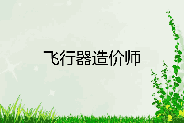 飞行器造价师