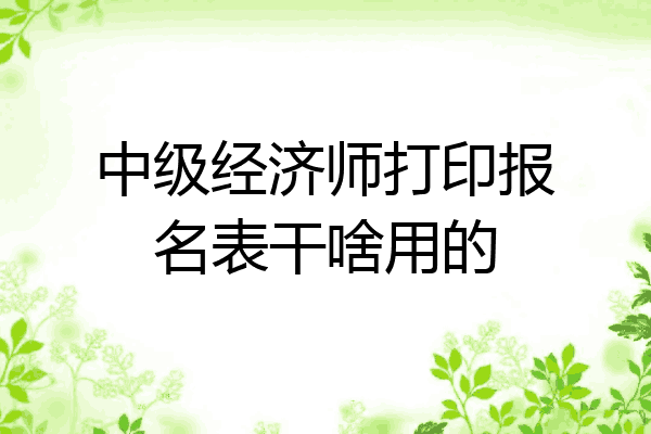 中级经济师打印报名表干啥用的