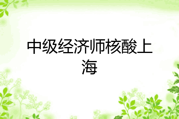中级经济师核酸上海