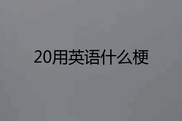 20用英语什么梗