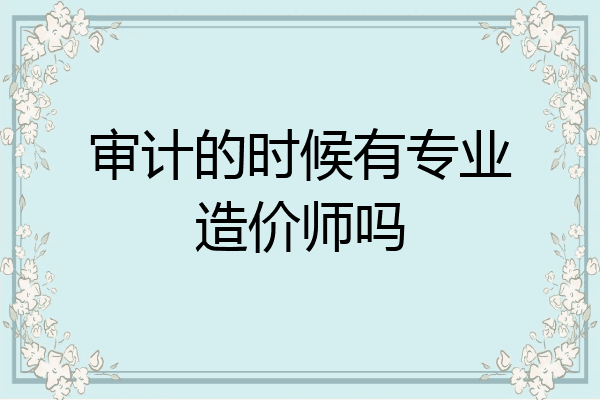 审计的时候有专业造价师吗