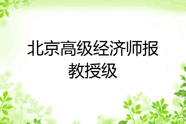 北京高级经济师报教授级