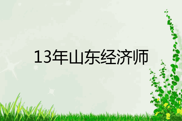 13年山东经济师