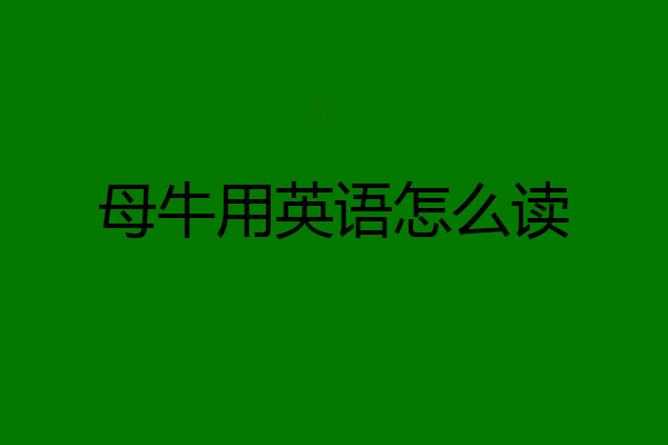 母牛用英语怎么读