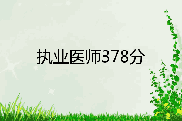执业医师378分