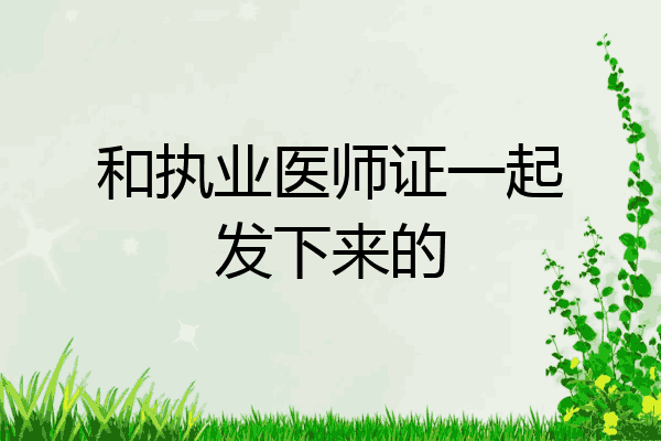和执业医师证一起发下来的