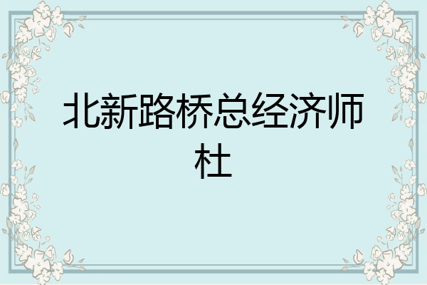 北新路桥总经济师杜