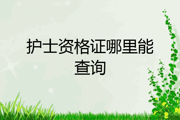 护士资格证哪里能查询