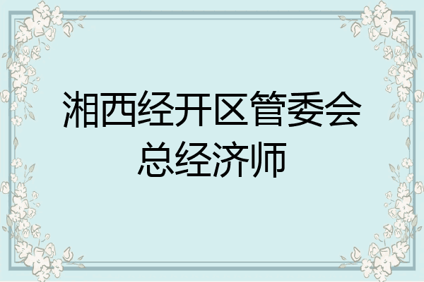 湘西经开区管委会总经济师