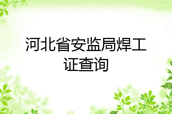 河北省安监局焊工证查询