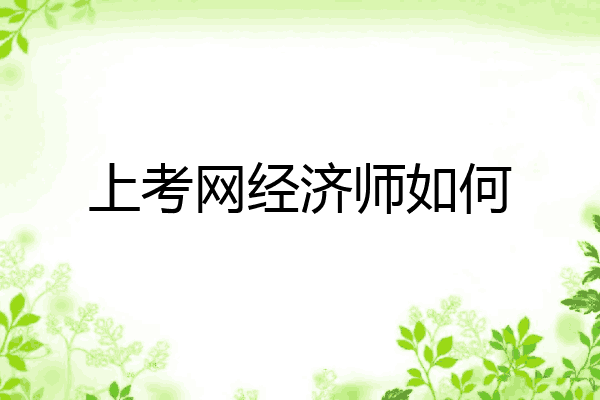 上考网经济师如何