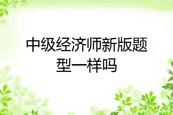 中级经济师新版题型一样吗