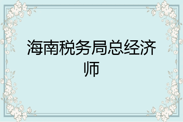 海南税务局总经济师