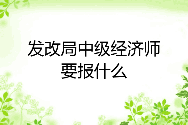 发改局中级经济师要报什么