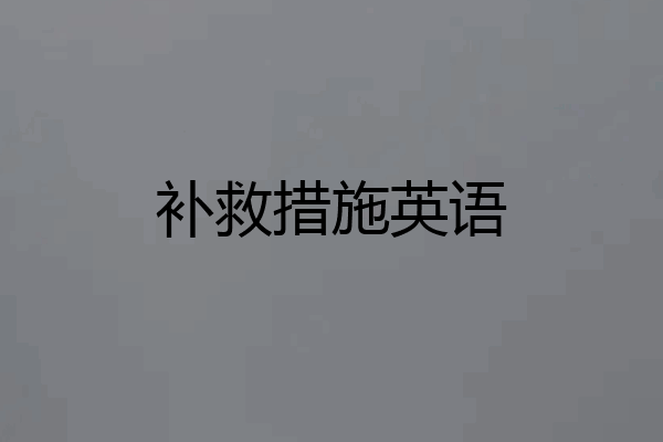 补救措施英语