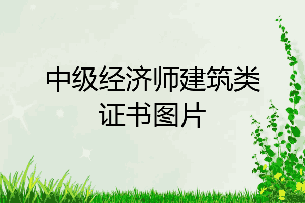 中级经济师建筑类证书图片
