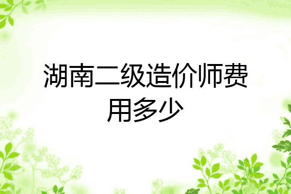 湖南二级造价师费用多少
