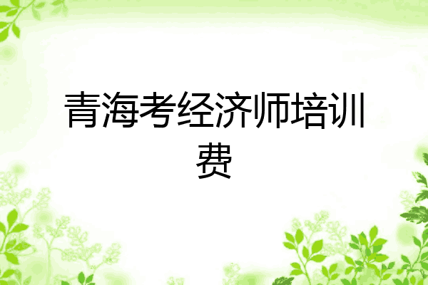 青海考经济师培训费