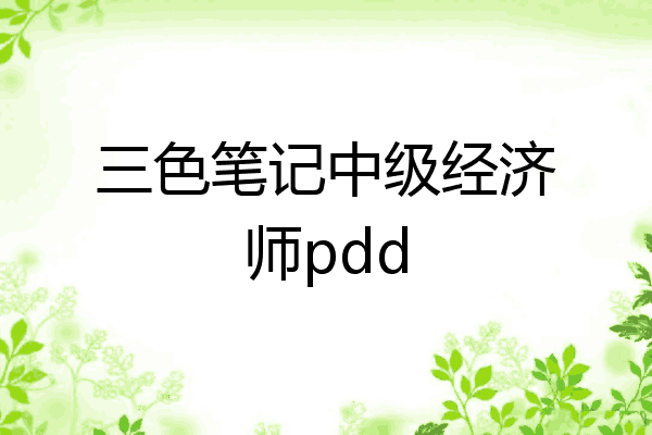 三色笔记中级经济师pdd