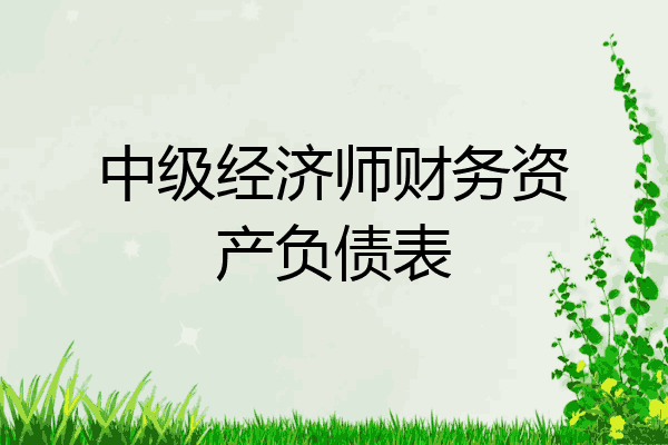 中级经济师财务资产负债表
