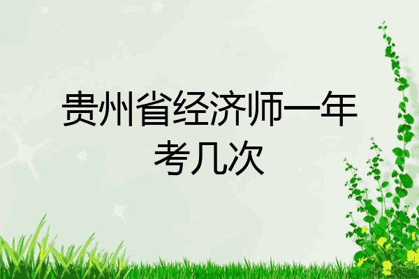 贵州省经济师一年考几次