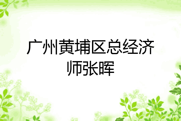 广州黄埔区总经济师张晖