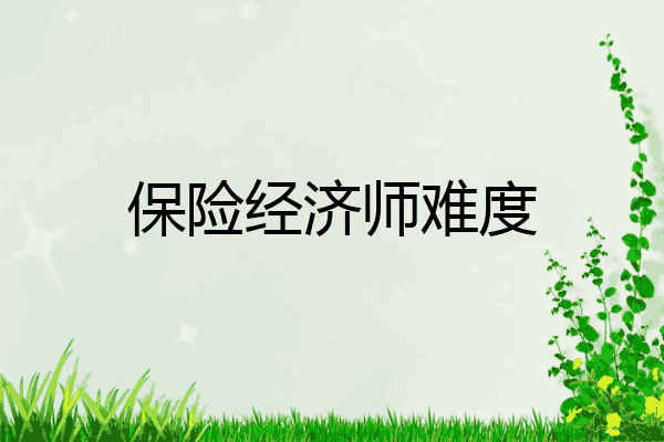 保险经济师难度