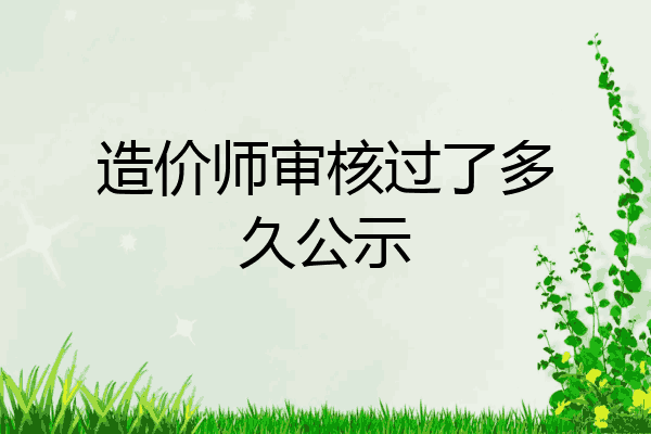 造价师审核过了多久公示