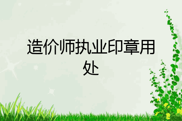 造价师执业印章用处