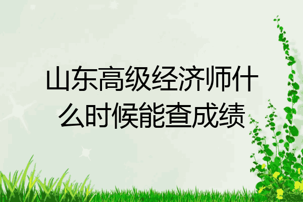 山东高级经济师什么时候能查成绩