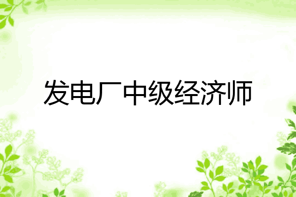 发电厂中级经济师