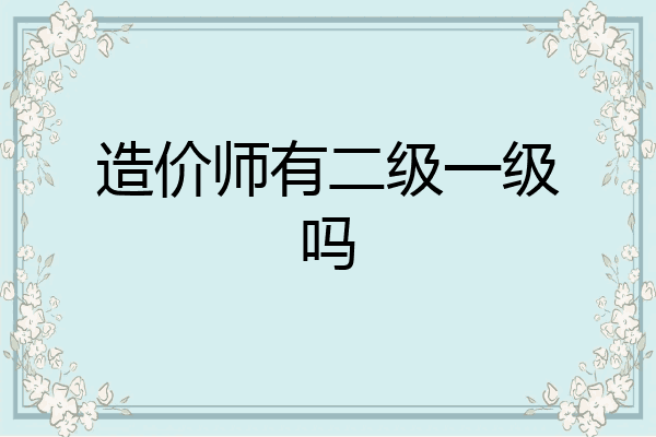 造价师有二级一级吗