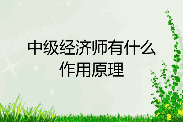中级经济师有什么作用原理