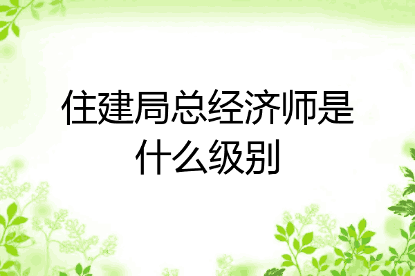 住建局总经济师是什么级别