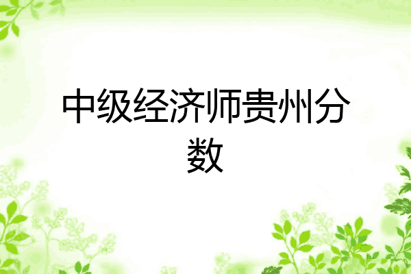 中级经济师贵州分数