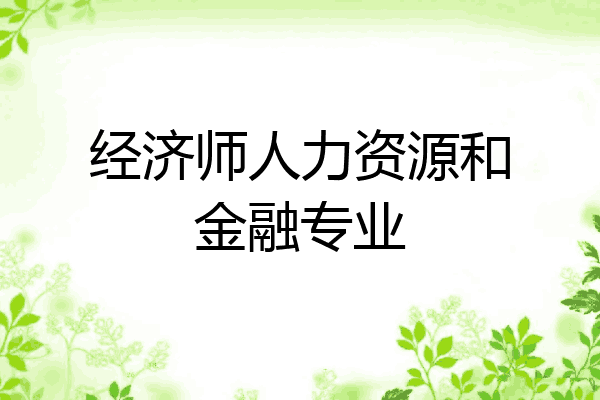 经济师人力资源和金融专业