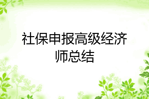 社保申报高级经济师总结