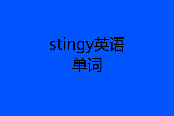 stingy英语单词