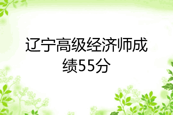 辽宁高级经济师成绩55分