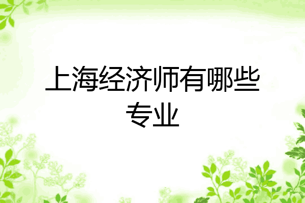 上海经济师有哪些专业