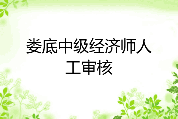 娄底中级经济师人工审核
