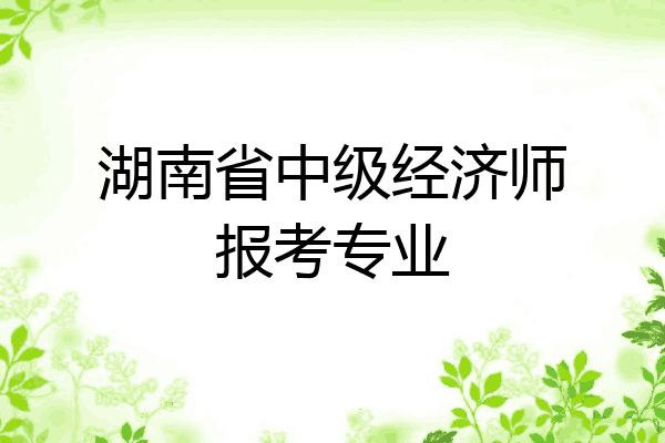 湖南省中级经济师报考专业