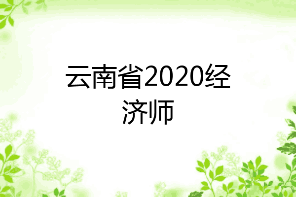 云南省2020经济师