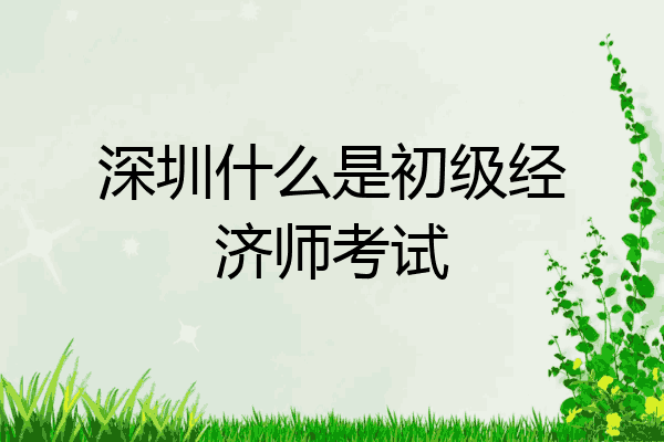 深圳什么是初级经济师考试