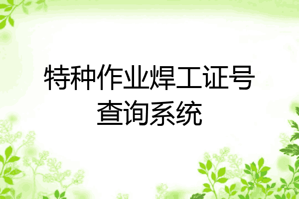 特种作业焊工证号查询系统