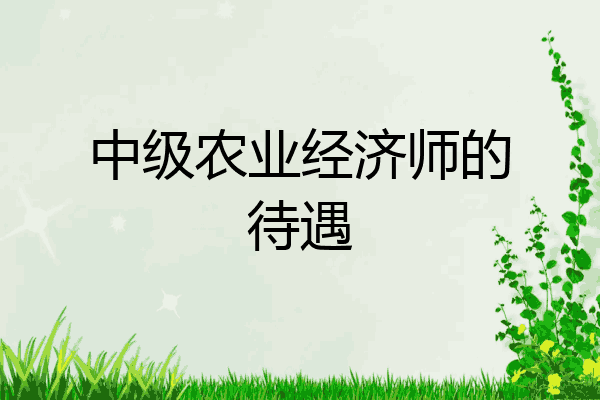 中级农业经济师的待遇