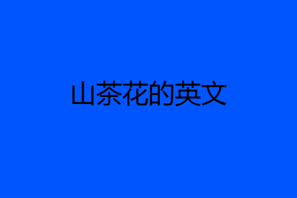 山茶花的英文