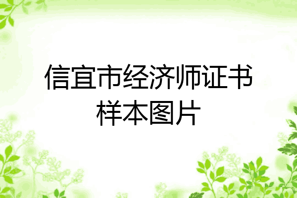 信宜市经济师证书样本图片