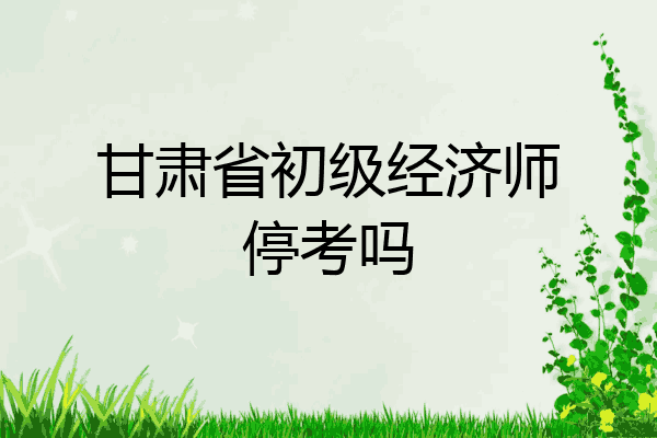 甘肃省初级经济师停考吗