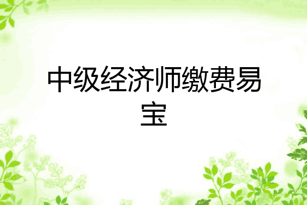 中级经济师缴费易宝